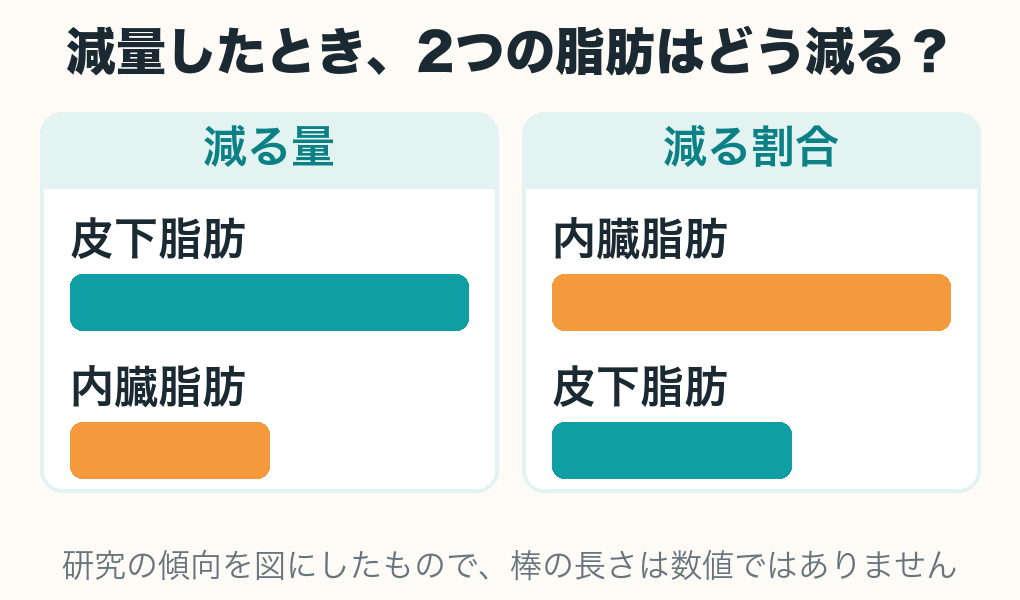 減量したときの2つの脂肪の減り方の図解。左の「減る量」では皮下脂肪の棒が長く内臓脂肪が短い。右の「減る割合」では内臓脂肪の棒が長く皮下脂肪が短い
