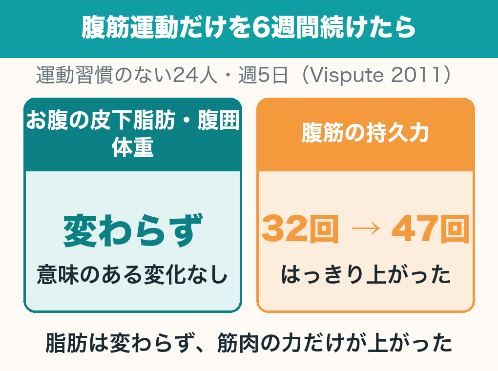 腹筋運動だけを6週間続けた研究(運動習慣のない24人・週5日)の整理図。お腹の皮下脂肪・腹囲・体重は変わらず、腹筋の持久力は32回から47回に上がった