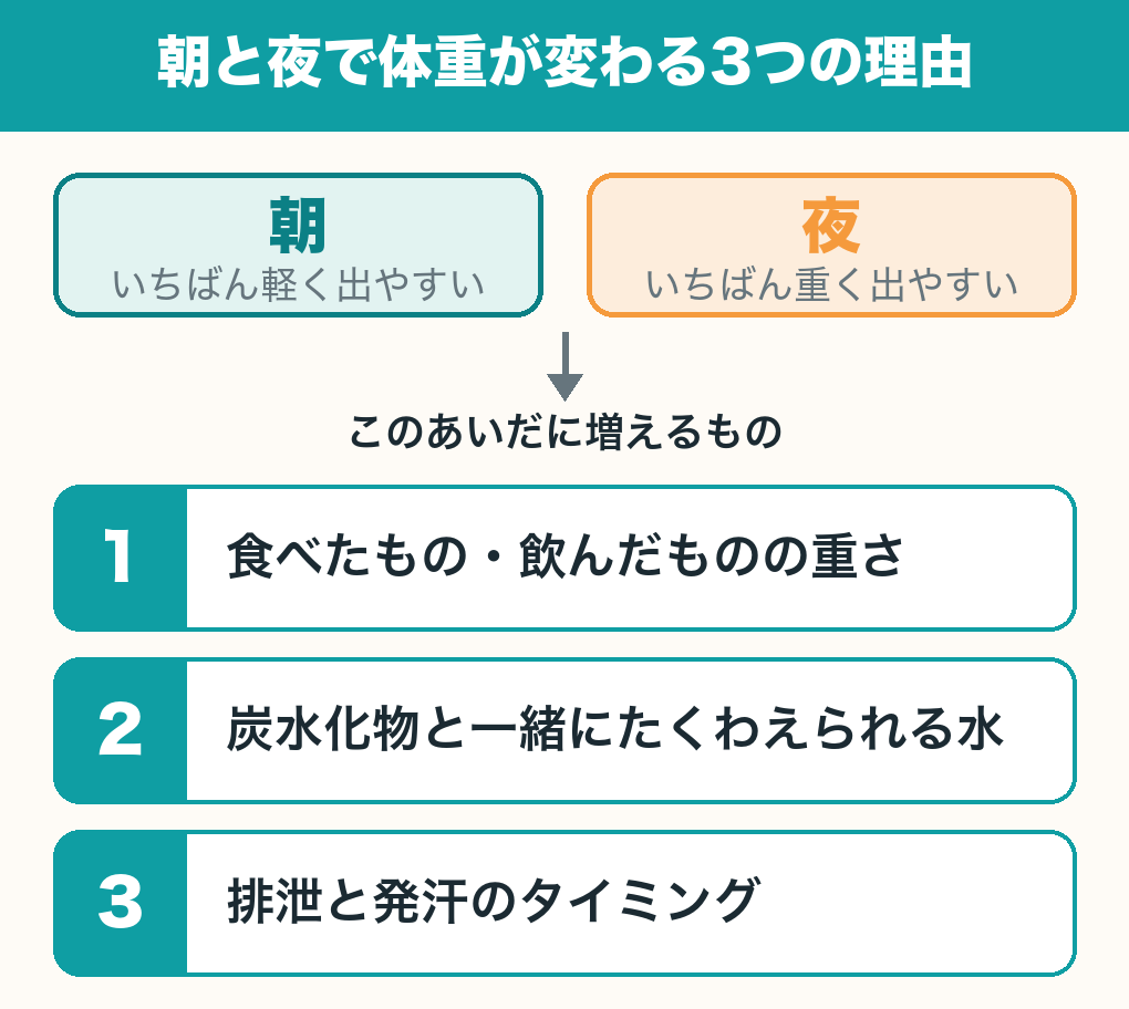 朝と夜で体重が変わる3つの理由の図解。食べたもの・飲んだものの重さ、炭水化物と一緒に蓄えられる水、排泄と発汗のタイミングの3つ。