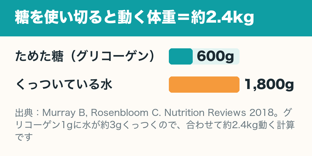 体にためた糖(グリコーゲン)600gと、それにくっついている水1,800gを比べた横棒グラフ。合わせて約2.4kg